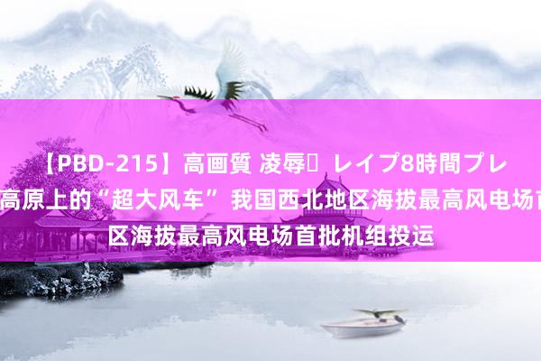 【PBD-215】高画質 凌辱・レイプ8時間プレミアムBEST 高原上的“超大风车” 我国西北地区海拔最高风电场首批机组投运