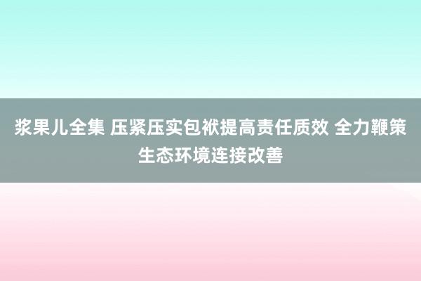 浆果儿全集 压紧压实包袱提高责任质效 全力鞭策生态环境连接改善