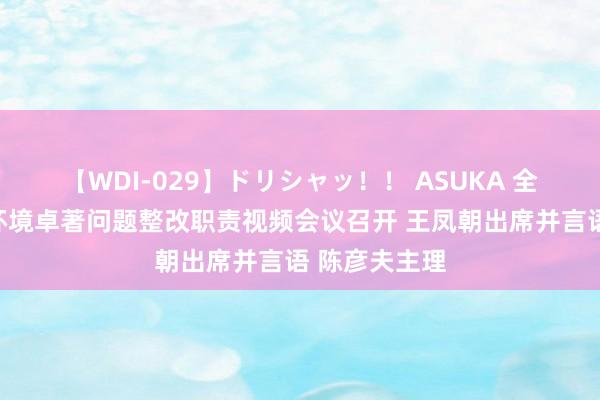 【WDI-029】ドリシャッ！！ ASUKA 全市鼓吹生态环境卓著问题整改职责视频会议召开 王凤朝出席并言语 陈彦夫主理