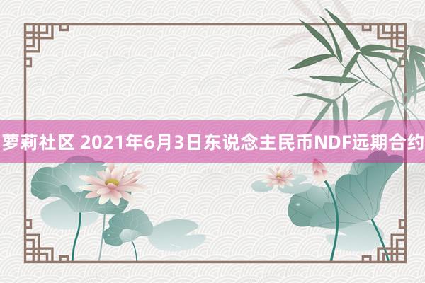 萝莉社区 2021年6月3日东说念主民币NDF远期合约