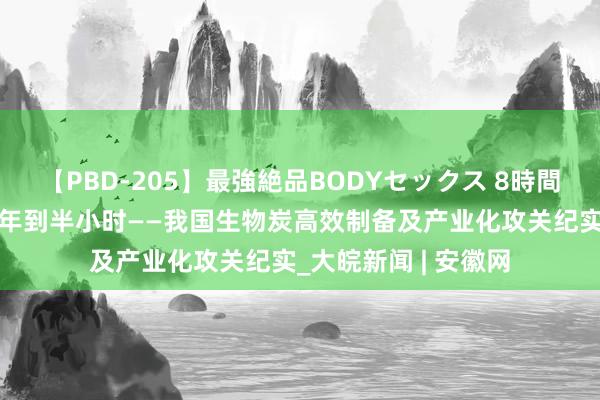 【PBD-205】最強絶品BODYセックス 8時間スペシャル 从亿万年到半小时——我国生物炭高效制备及产业化攻关纪实_大皖新闻 | 安徽网