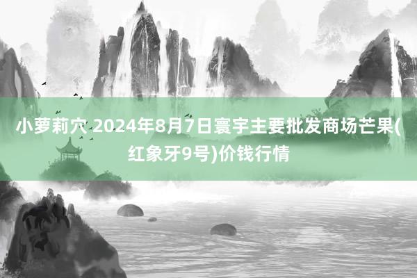 小萝莉穴 2024年8月7日寰宇主要批发商场芒果(红象牙9号)价钱行情