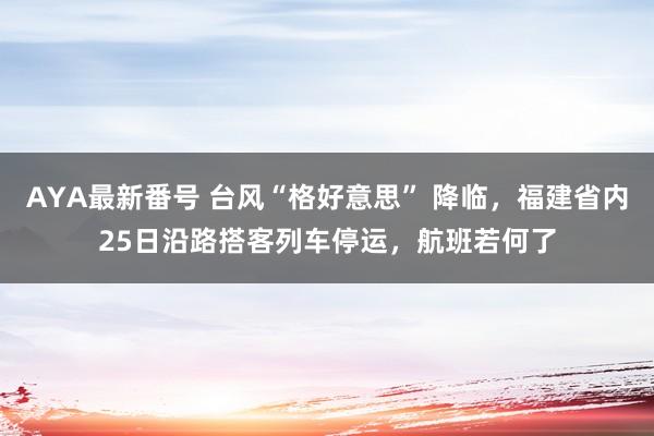 AYA最新番号 台风“格好意思” 降临，福建省内25日沿路搭客列车停运，航班若何了