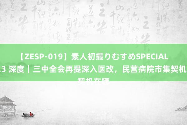 【ZESP-019】素人初撮りむすめSPECIAL Vol.3 深度｜三中全会再提深入医改，民营病院市集契机在哪