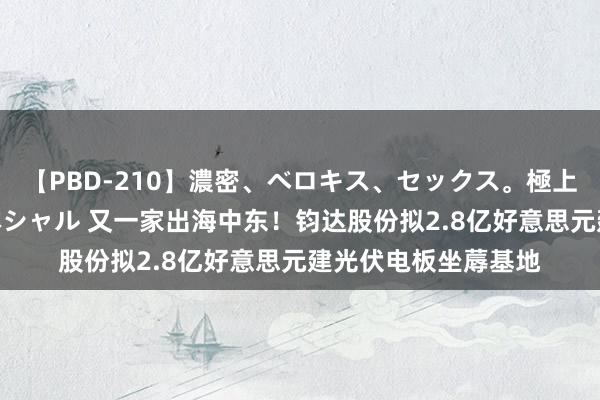 【PBD-210】濃密、ベロキス、セックス。極上接吻性交 8時間スペシャル 又一家出海中东！钧达股份拟2.8亿好意思元建光伏电板坐蓐基地