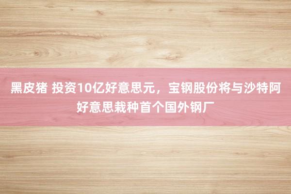 黑皮猪 投资10亿好意思元，宝钢股份将与沙特阿好意思栽种首个国外钢厂