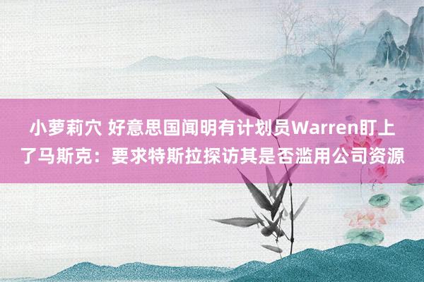 小萝莉穴 好意思国闻明有计划员Warren盯上了马斯克：要求特斯拉探访其是否滥用公司资源