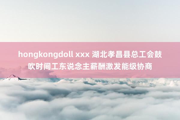 hongkongdoll xxx 湖北孝昌县总工会鼓吹时间工东说念主薪酬激发能级协商