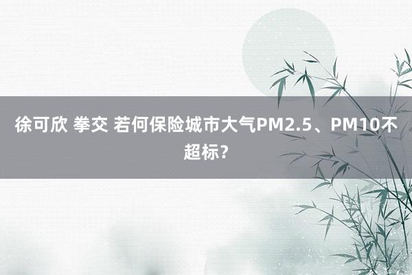 徐可欣 拳交 若何保险城市大气PM2.5、PM10不超标？