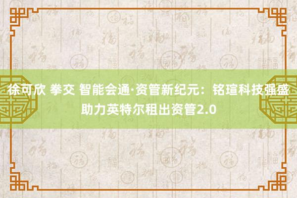 徐可欣 拳交 智能会通·资管新纪元：铭瑄科技强盛助力英特尔租出资管2.0