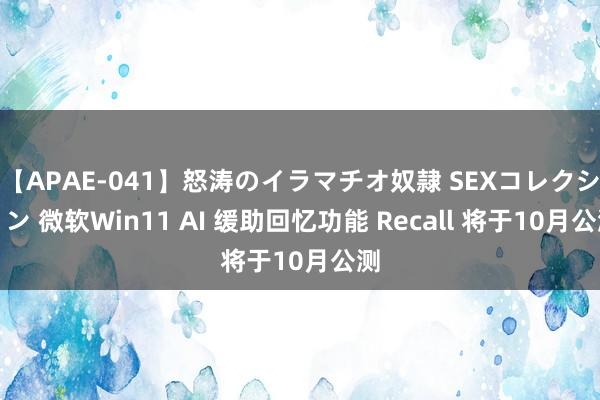 【APAE-041】怒涛のイラマチオ奴隷 SEXコレクション 微软Win11 AI 缓助回忆功能 Recall 将于10月公测