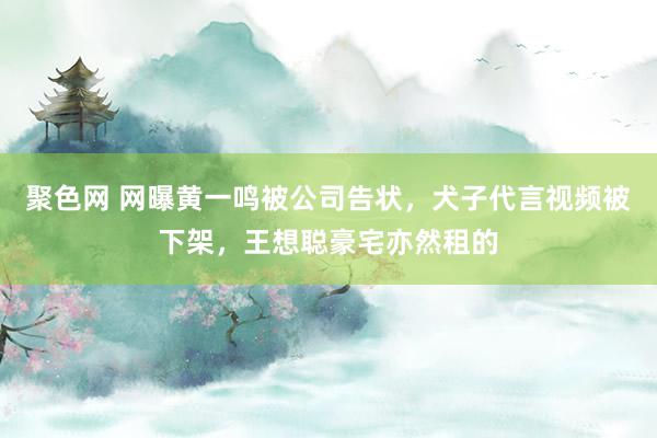 聚色网 网曝黄一鸣被公司告状，犬子代言视频被下架，王想聪豪宅亦然租的