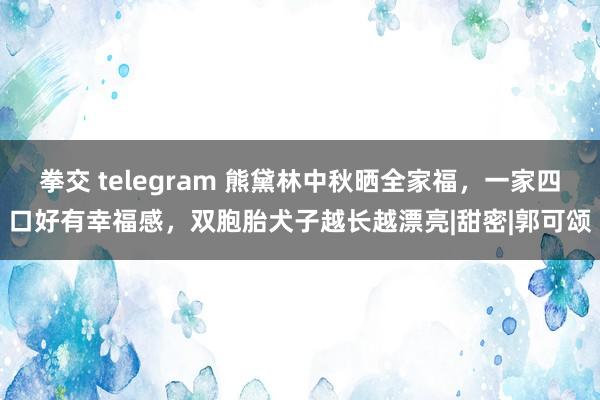 拳交 telegram 熊黛林中秋晒全家福，一家四口好有幸福感，双胞胎犬子越长越漂亮|甜密|郭可颂