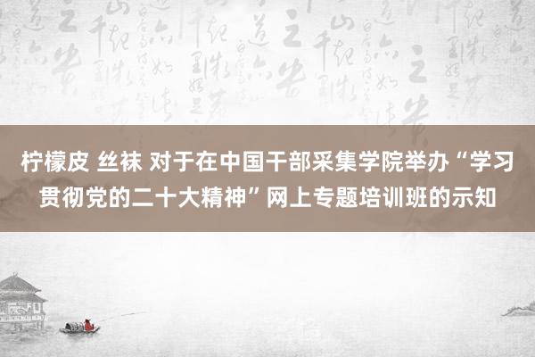 柠檬皮 丝袜 对于在中国干部采集学院举办“学习贯彻党的二十大精神”网上专题培训班的示知