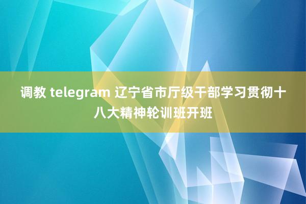 调教 telegram 辽宁省市厅级干部学习贯彻十八大精神轮训班开班