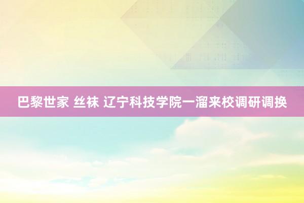 巴黎世家 丝袜 辽宁科技学院一溜来校调研调换